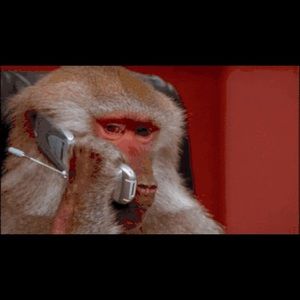 Meet your Posher, Chat